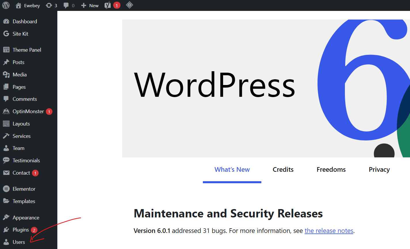 how to give access to wordpress dashboard